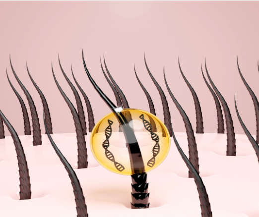 Strengthen Hair Follicles & Prevent Hair Loss